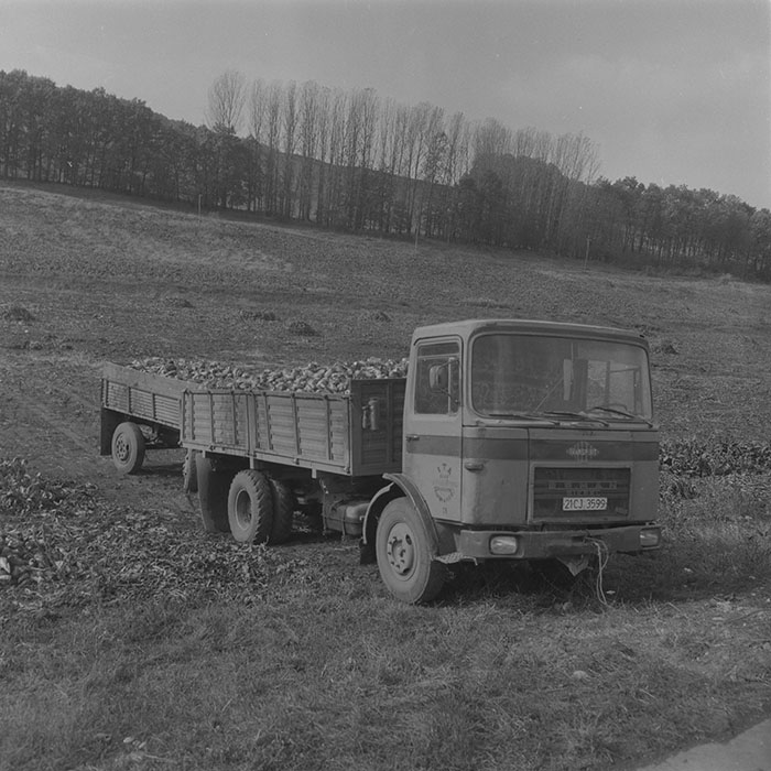 minerva_1985_c2_c1r3_012