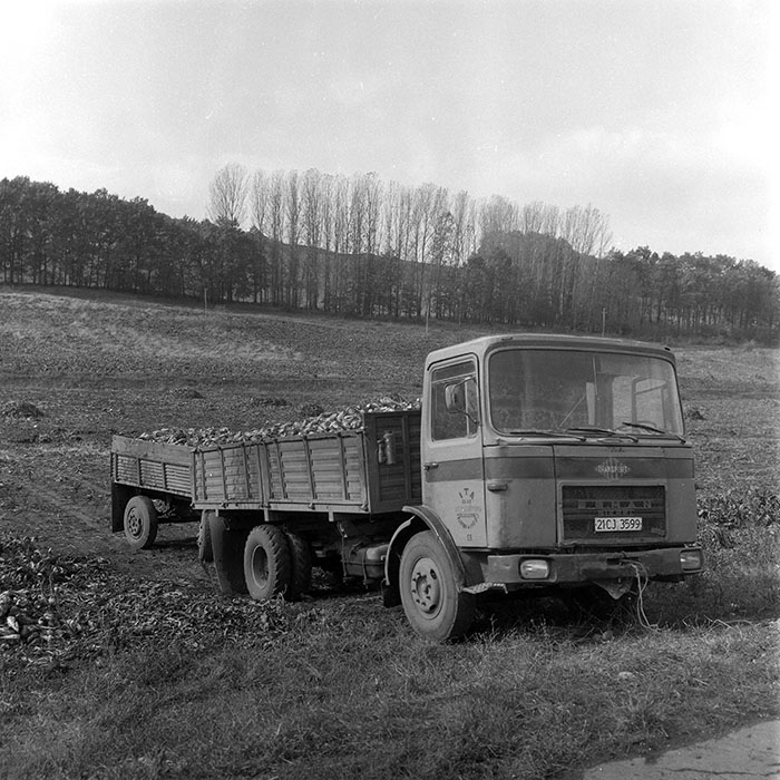 minerva_1985_c2_c1r3_013