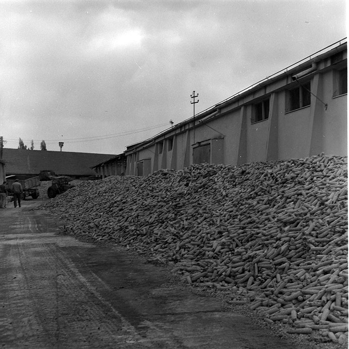 minerva_1985_c2_c1r3_014