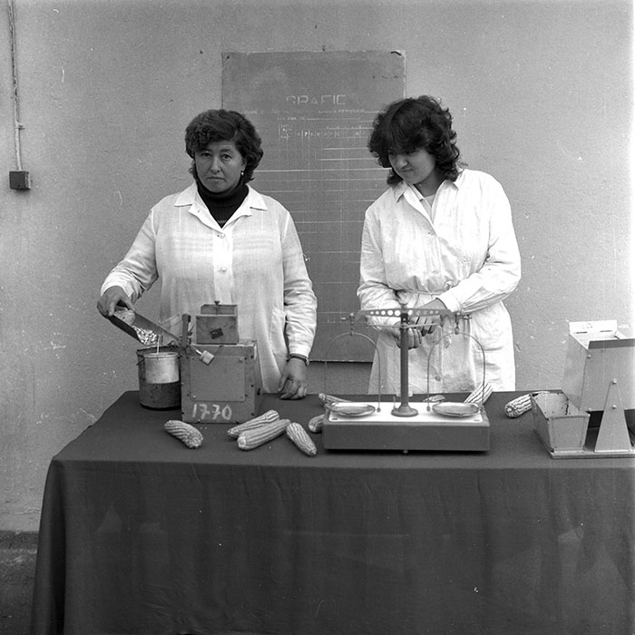 minerva_1985_c2_c1r3_015