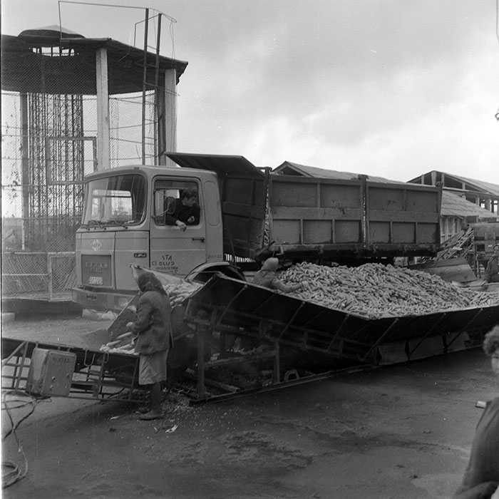 minerva_1985_c2_c1r3_018