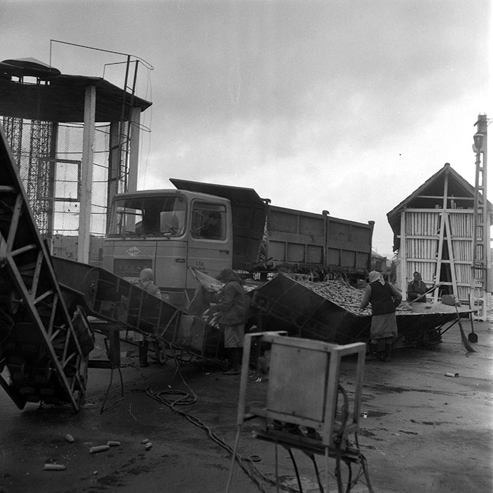 minerva_1985_c2_c1r3_019