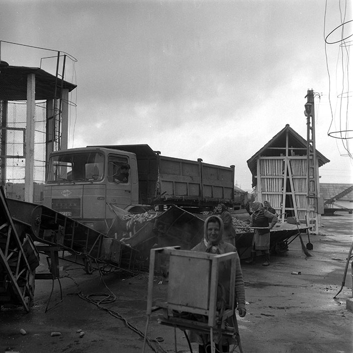 minerva_1985_c2_c1r3_020