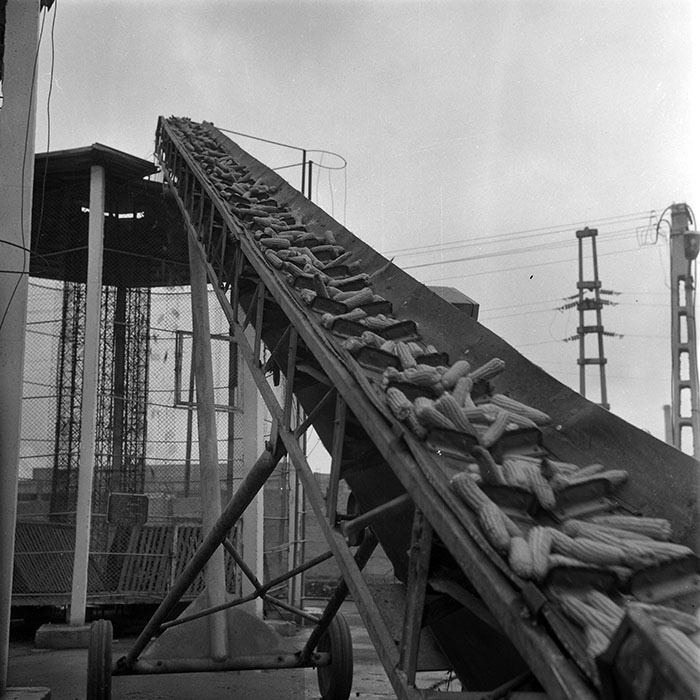 minerva_1985_c2_c1r3_021