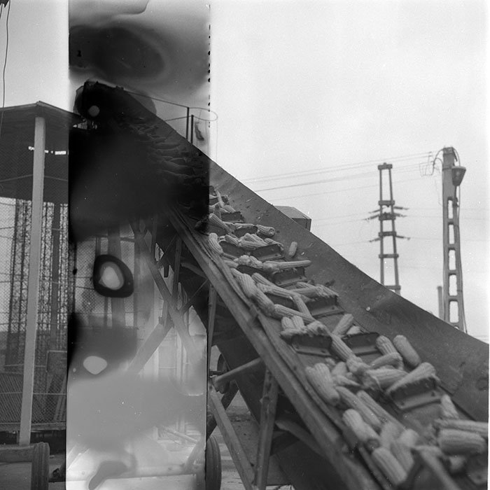 minerva_1985_c2_c1r3_022