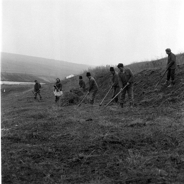 minerva_1985_c2_c1r3_023