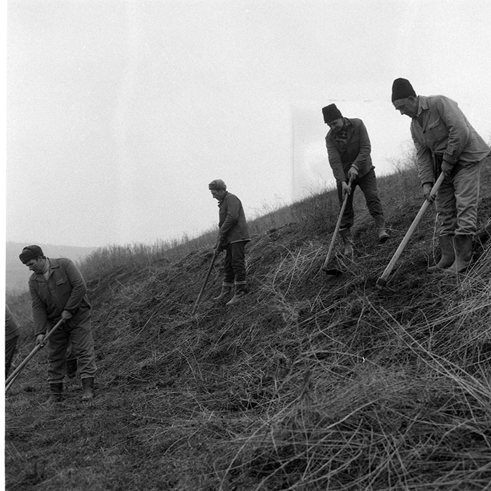 minerva_1985_c2_c1r3_024