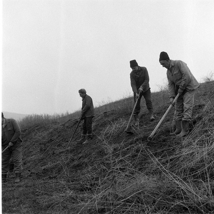 minerva_1985_c2_c1r3_025