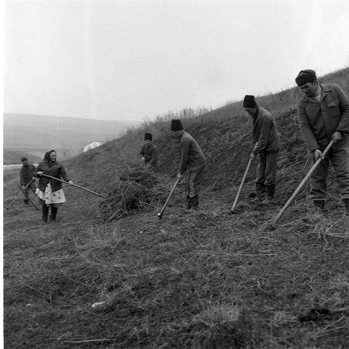 minerva_1985_c2_c1r3_026