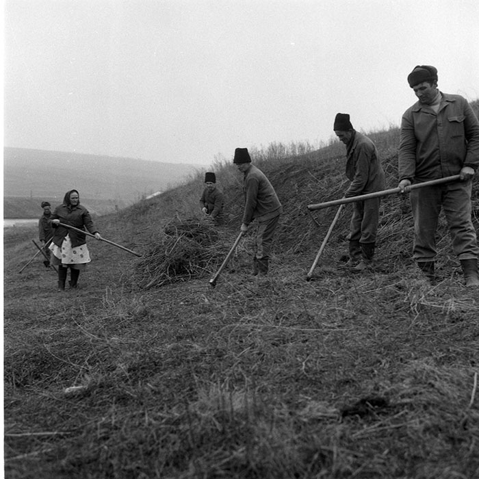 minerva_1985_c2_c1r3_027