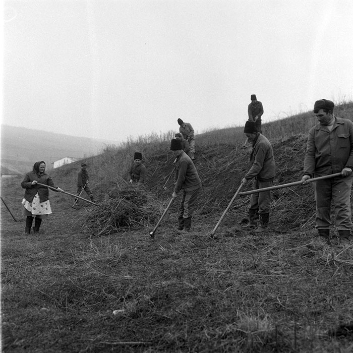 minerva_1985_c2_c1r3_028