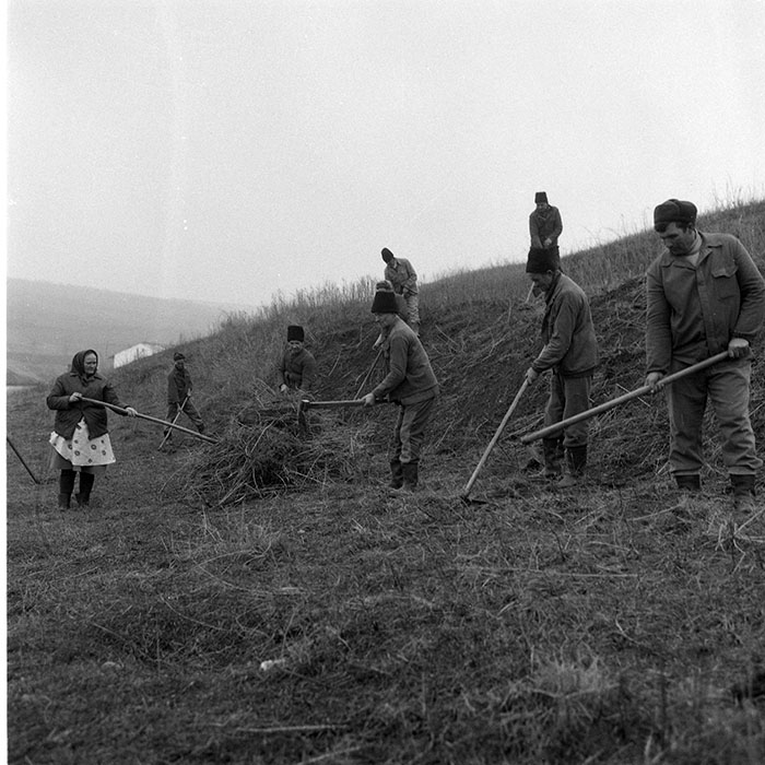 minerva_1985_c2_c1r3_029