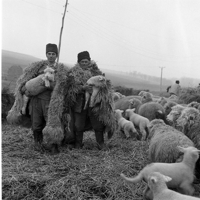 minerva_1985_c2_c1r3_031