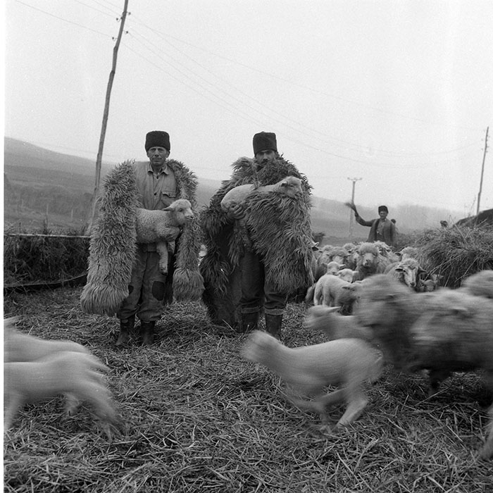 minerva_1985_c2_c1r3_032