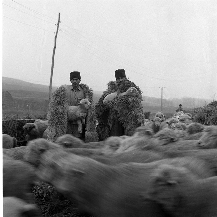 minerva_1985_c2_c1r3_033