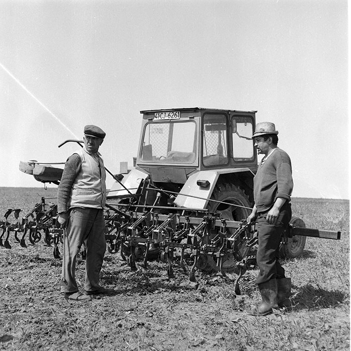 minerva_1985_c2_c1r3_036