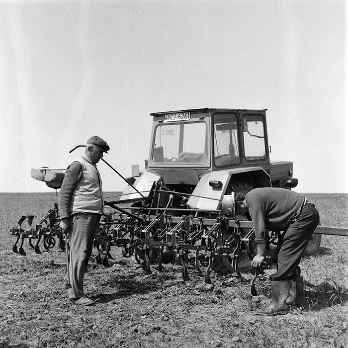 minerva_1985_c2_c1r3_037