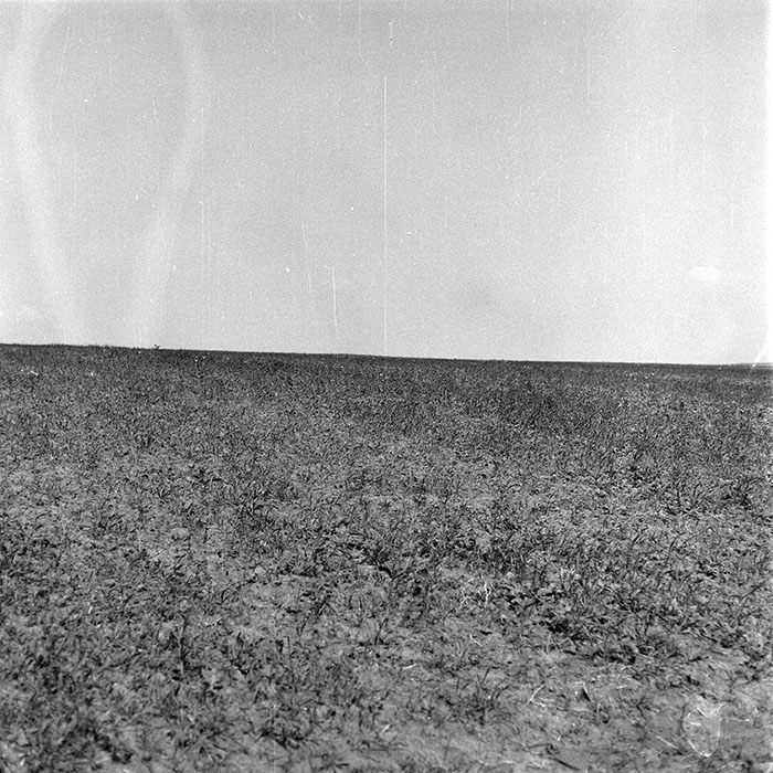 minerva_1985_c2_c1r3_038