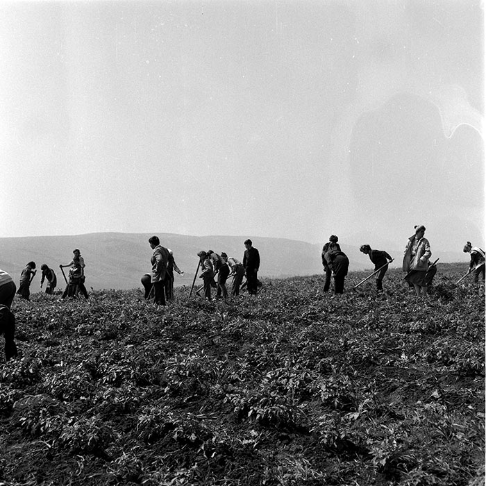 minerva_1985_c2_c1r3_039