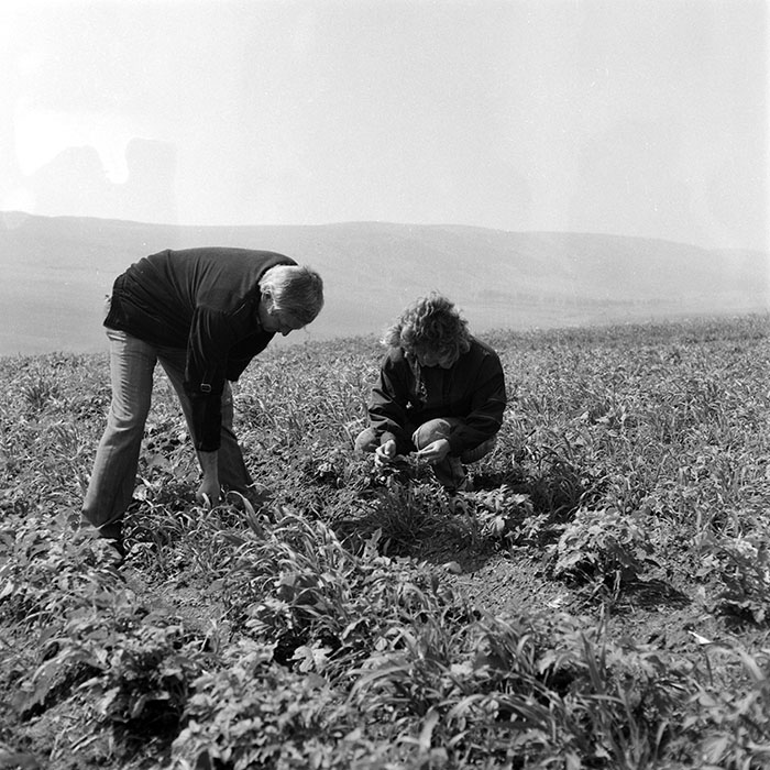 minerva_1985_c2_c1r3_042