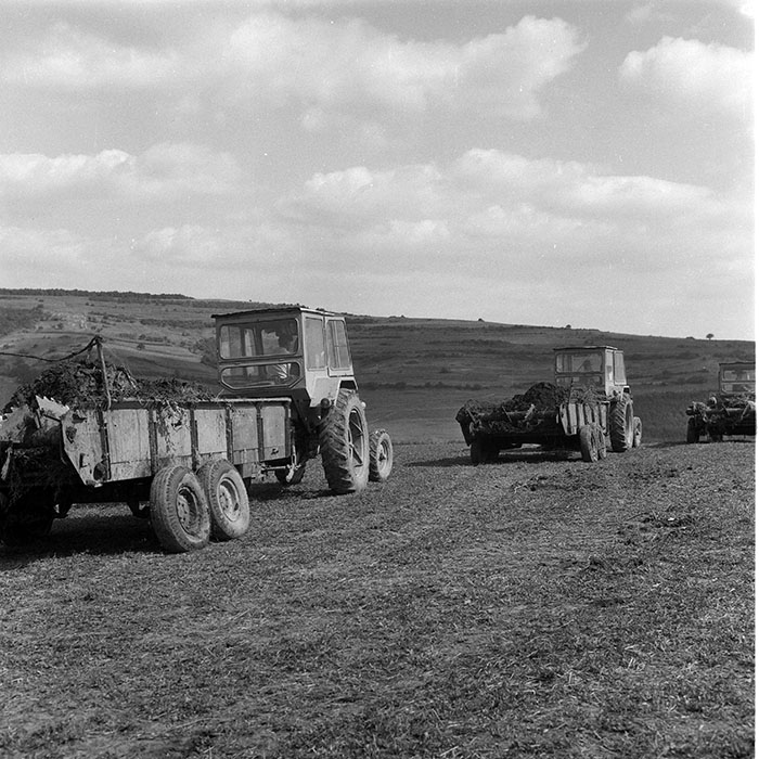 minerva_1985_c2_c1r3_045