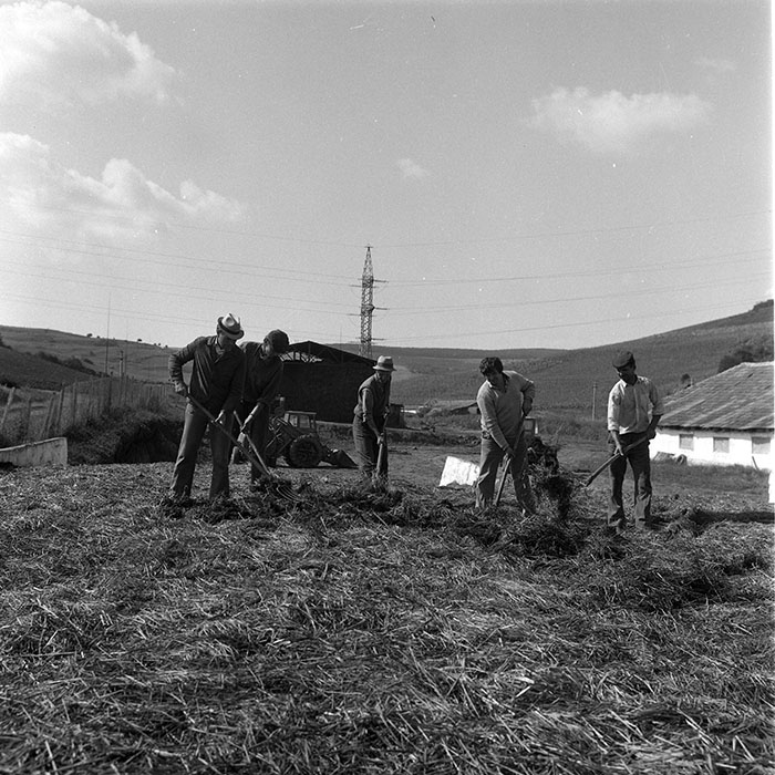 minerva_1985_c2_c1r3_046