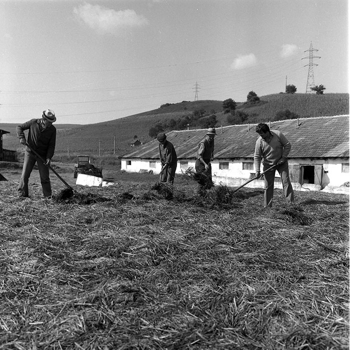 minerva_1985_c2_c1r3_047