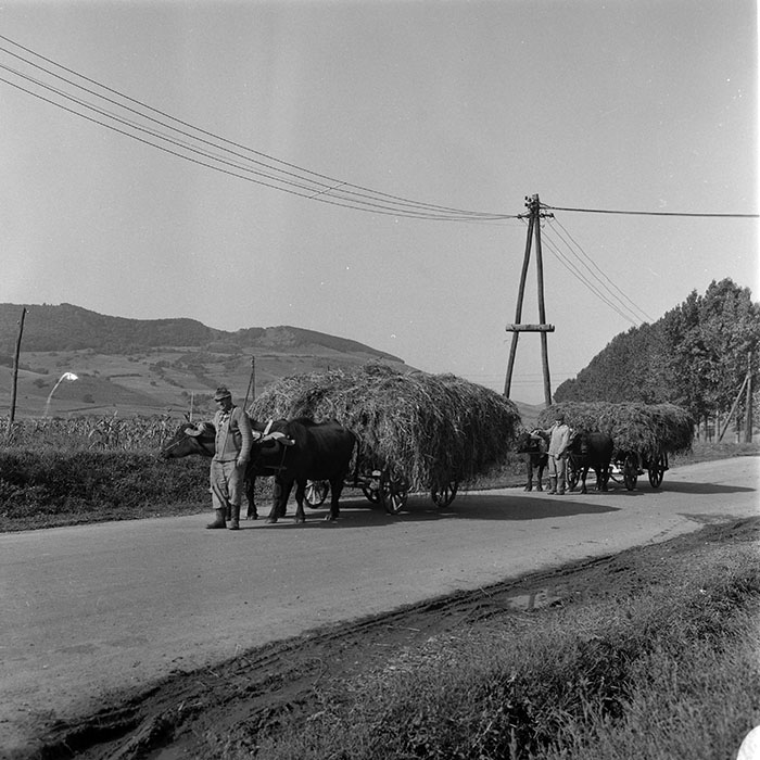 minerva_1985_c2_c1r3_051