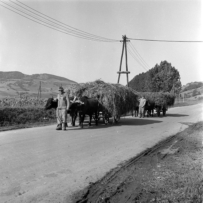 minerva_1985_c2_c1r3_052