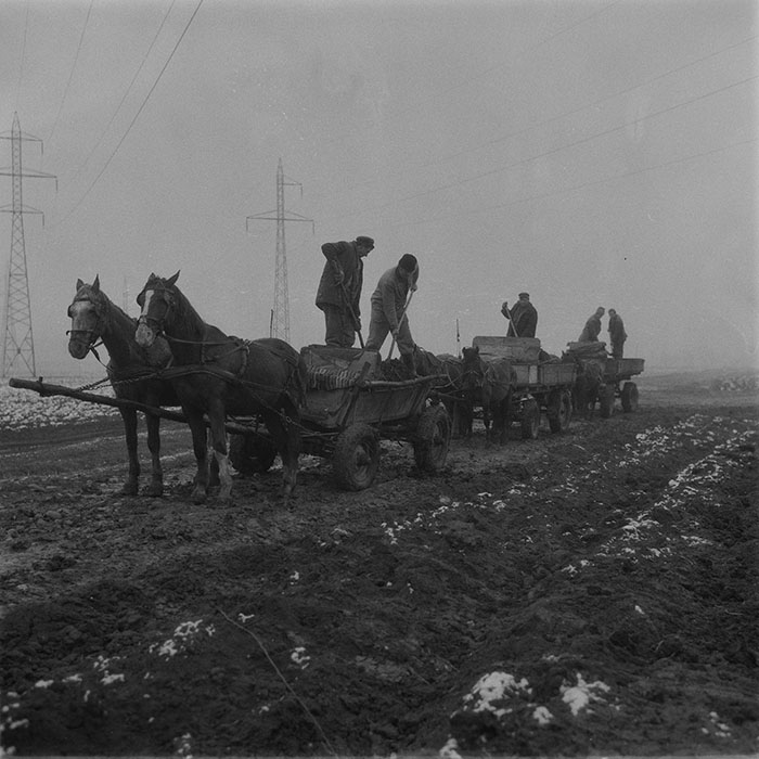 minerva_1985_c2_c1r4_001