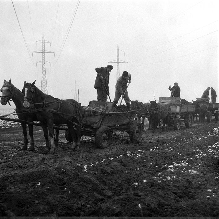 minerva_1985_c2_c1r4_002