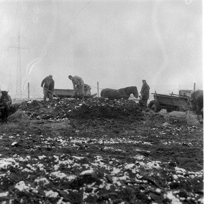 minerva_1985_c2_c1r4_006