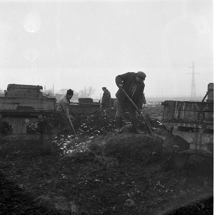 minerva_1985_c2_c1r4_008