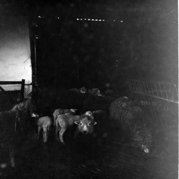 minerva_1985_c2_c1r4_018