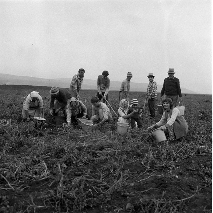 minerva_1985_c2_c1r4_027