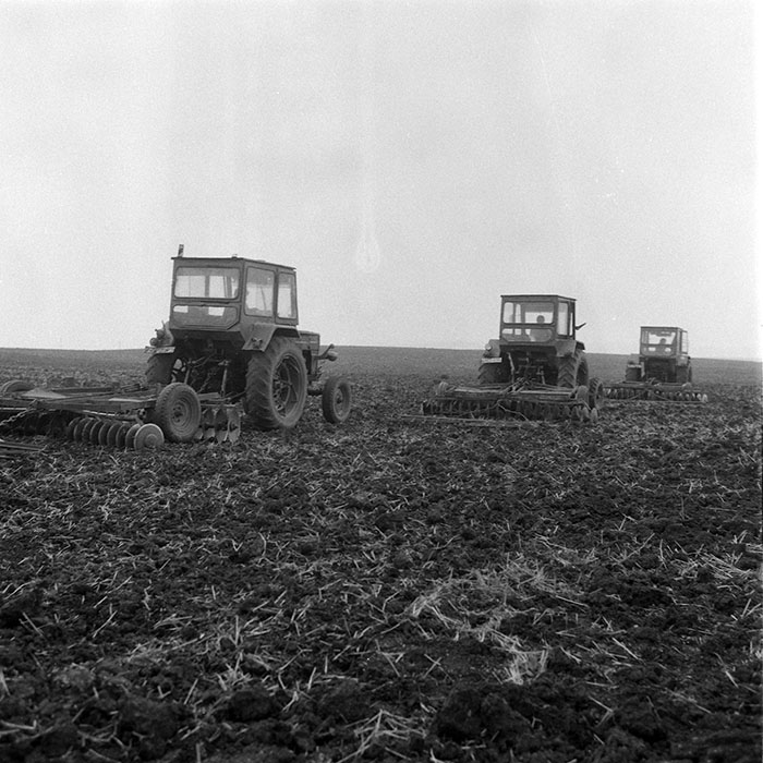 minerva_1985_c2_c1r4_029