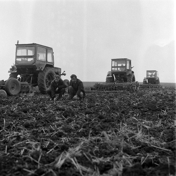 minerva_1985_c2_c1r4_031