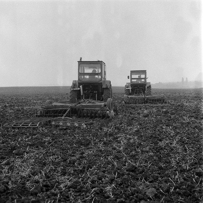 minerva_1985_c2_c1r4_035