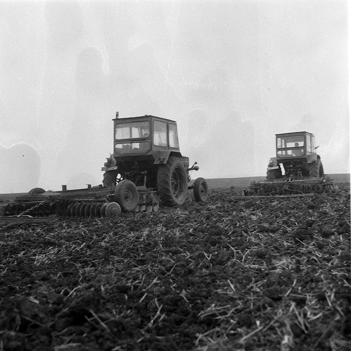 minerva_1985_c2_c1r4_037