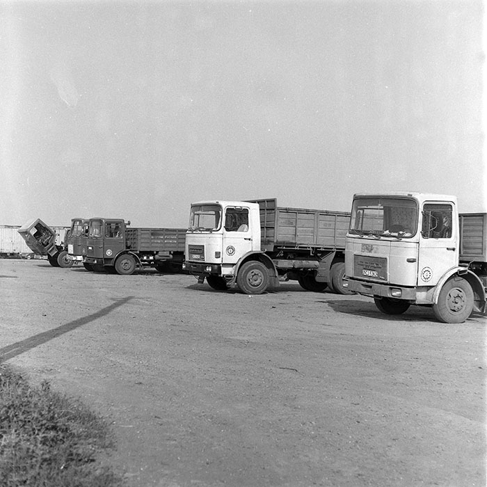 minerva_1985_c2_c1r4_039