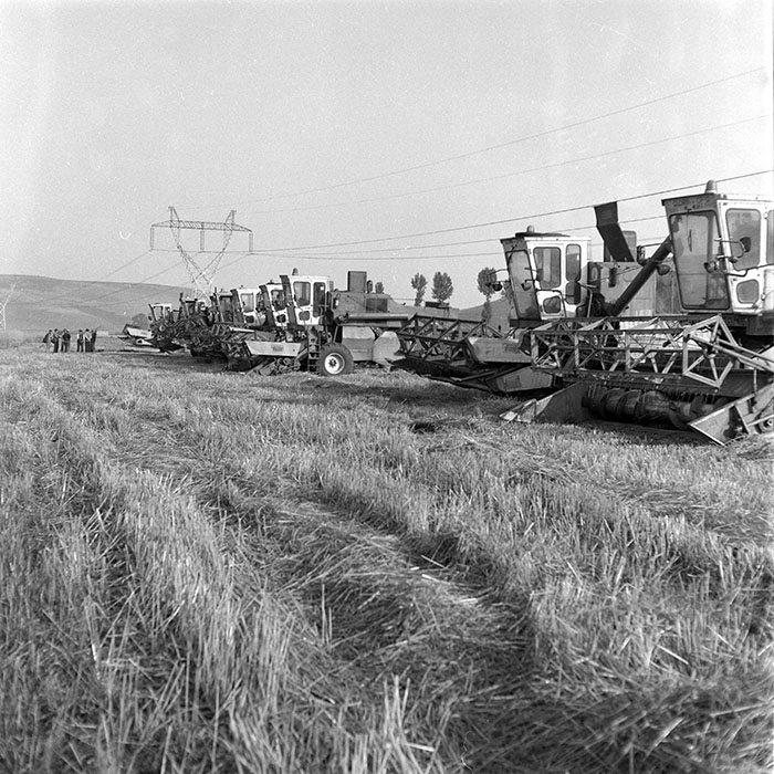 minerva_1985_c2_c1r4_041