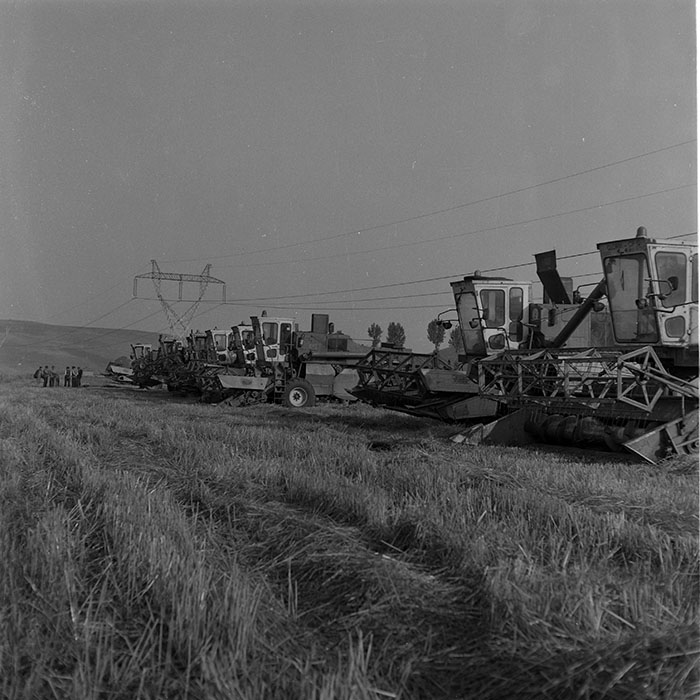 minerva_1985_c2_c1r4_042