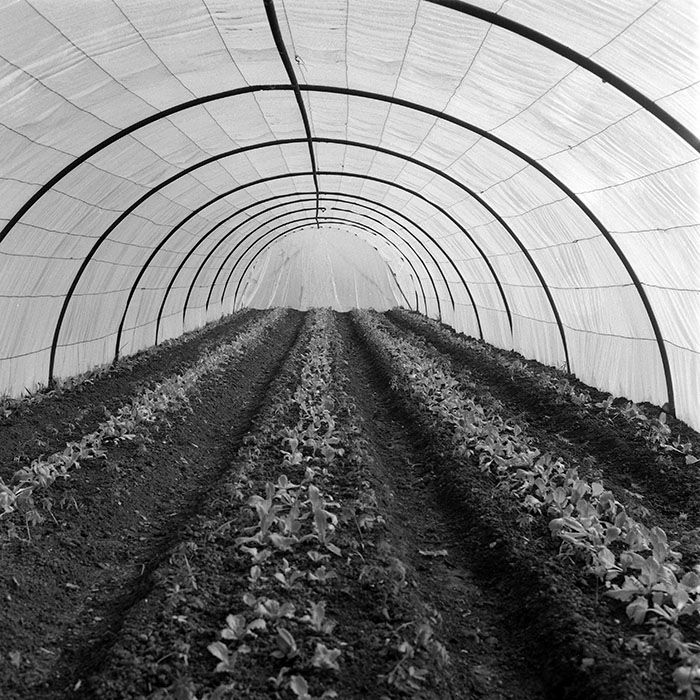 minerva_1985_c2_c1r4_047