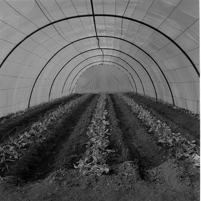 minerva_1985_c2_c1r4_049