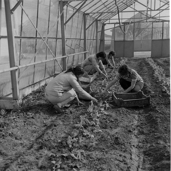 minerva_1985_c2_c1r4_057