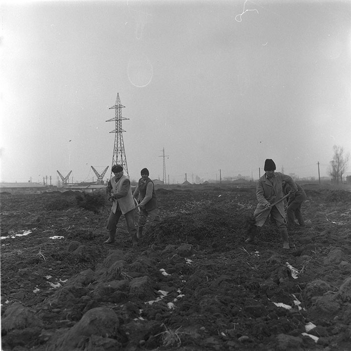 minerva_1985_c2_c1r4_069