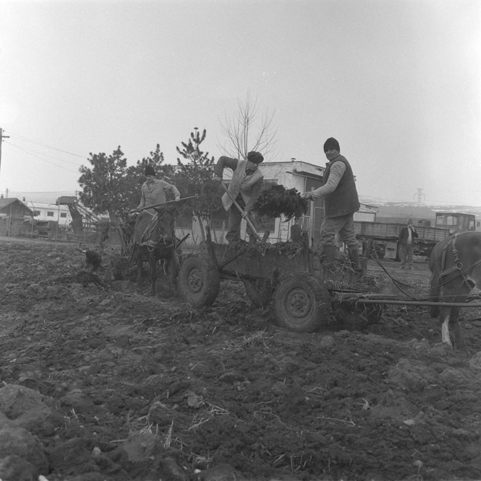 minerva_1985_c2_c1r4_071