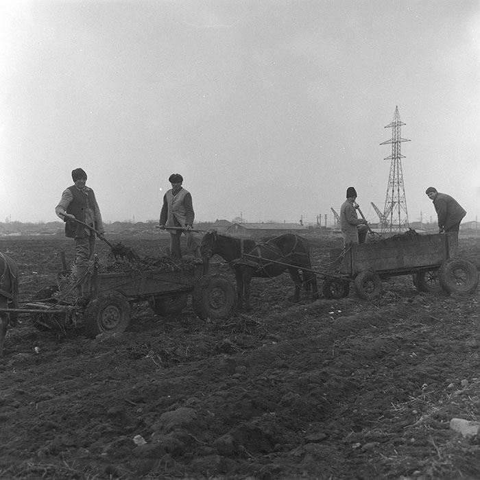 minerva_1985_c2_c1r4_072