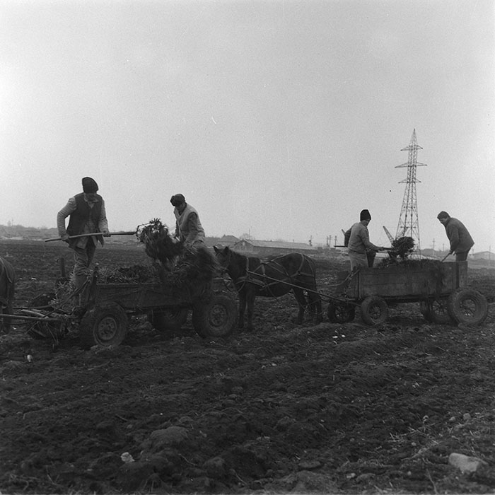 minerva_1985_c2_c1r4_073