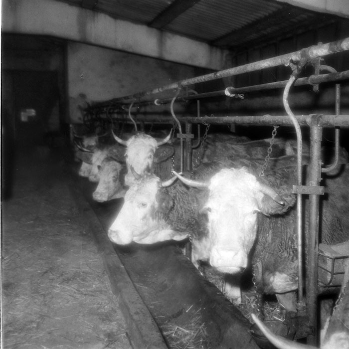 minerva_1985_c2_c1r4_074